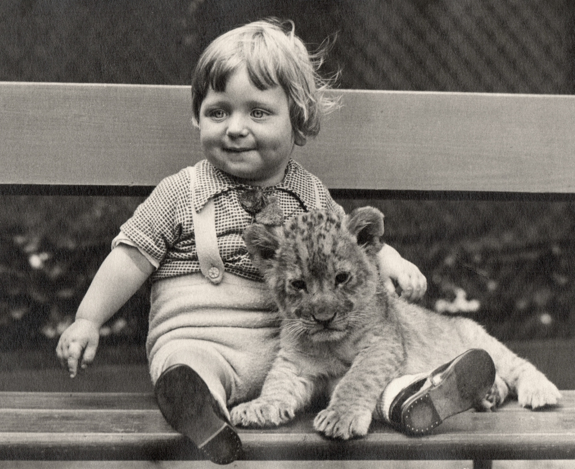 A little boy sits smiling on a bench with a lion cub on his lap.
