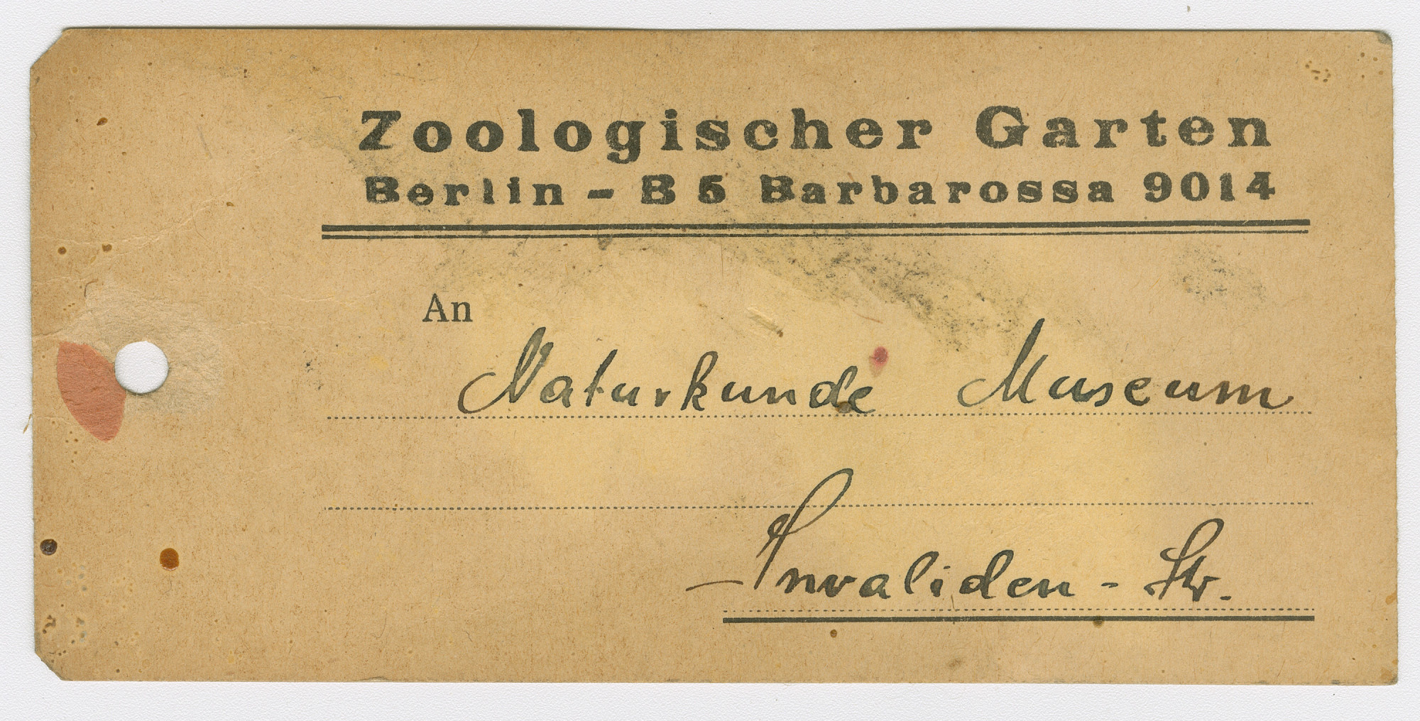 A yellowed, punched paper card with stains and preprinted text at the top: Zoologischer Garten Berlin – B5 Barbarossa 9014 / To. Handwritten: Natural History Museum / Invaliden-Str.