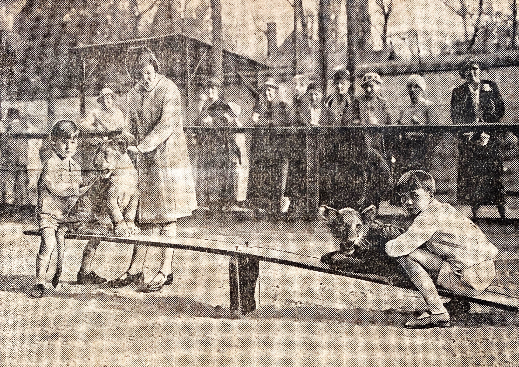 Two children sit on a seesaw, each of them with a lion cub placed before them. A group of people observes what is happening.