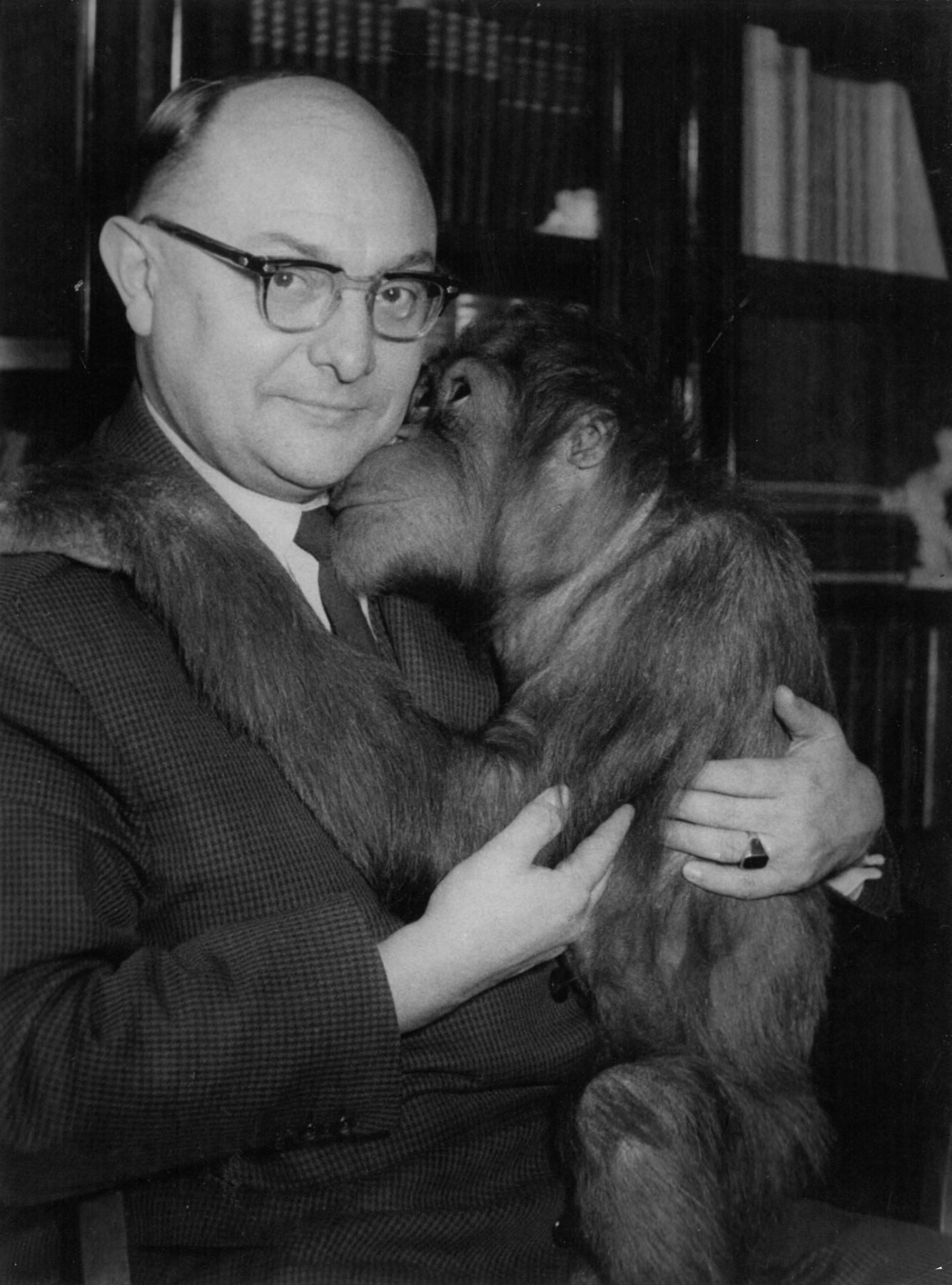 A man with a bald head and glasses holds a monkey in his arms, which snuggles up to him.