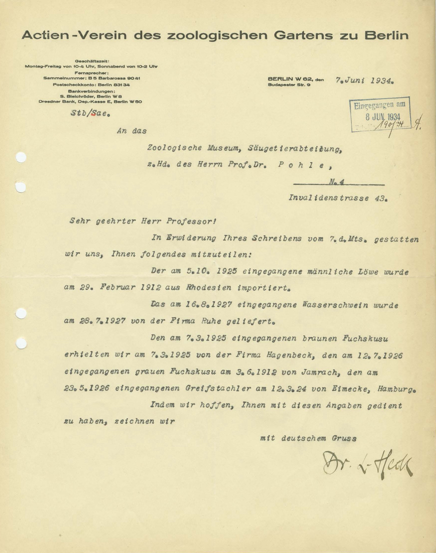 Typewritten letter: (...) The male lion received on 5.10.1925 was imported from Rhodesia on 29 February 1912. The capybara received on 16 August 1927 was delivered by the Ruhe company on 28 July 1927. We received the brown brushtail possum, which had arrived on 7 March 1925, on the same day from the Hagenbeck company, the grey brushtail possum, which had arrived on 12 July 1926, was received on 3 June 1912 from Jamrach, the prehensile-tailed porcupine, which had arrived on 23 May 1926, was received from Eimecke in Hamburg on 12 March 1924. (...)