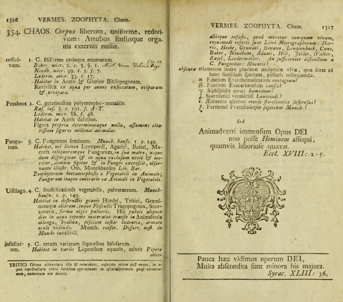 Buchseiten mit lateinischem Text unter der Überschrift “Vermes. Zoophyta. Chaos”: redivivum, Protheus, Fungorum, Ustilago, infusorium. Die Doppelseite endet mit dekorativen Illustrationen, versehen mit Bibelversen.