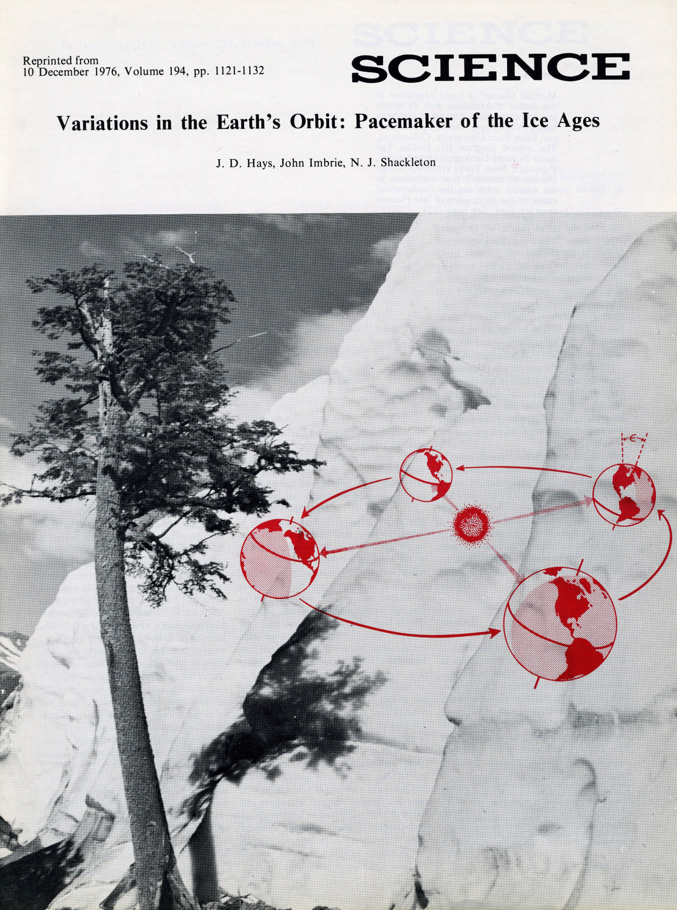 Cover of a reprint in the journal Science. Photo of a tree by a cliffside with a red illustration of Earth's orbit around the sun overimposed