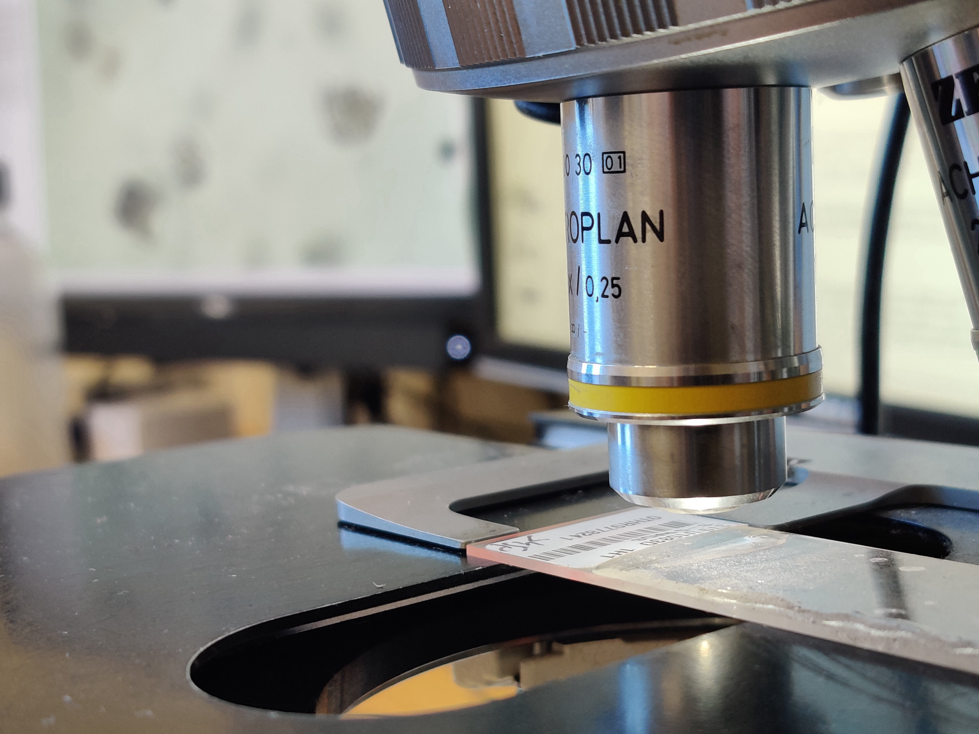 In the foreground, the objectives of an optical microscope, with a labelled and mounted micropaleontological slide under it; in the background, the computer screen where the magnified image of radiolarian microscopic shells can be seen in detail.