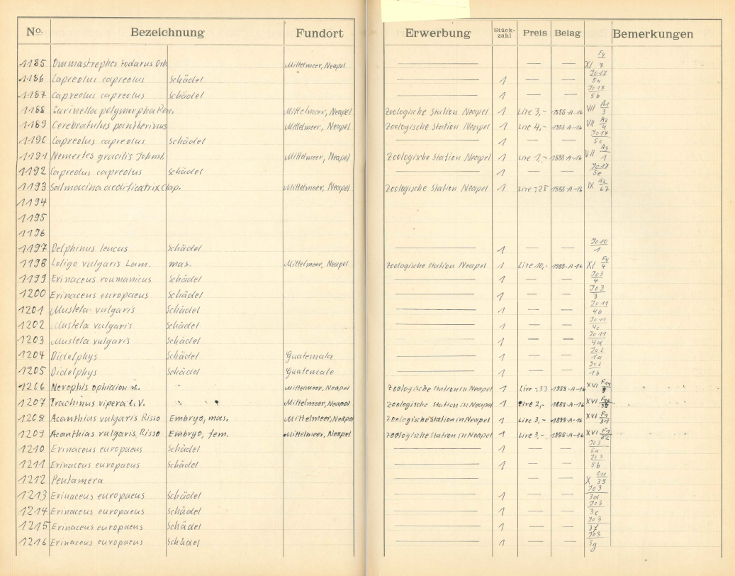 Double page from inventory book with preprinted columns. Handwritten entries on both pages. The left-hand column is filled with dense writing. A few numbers are not followed by any entry at all. Some fields have been left empty or contain a horizontal line.