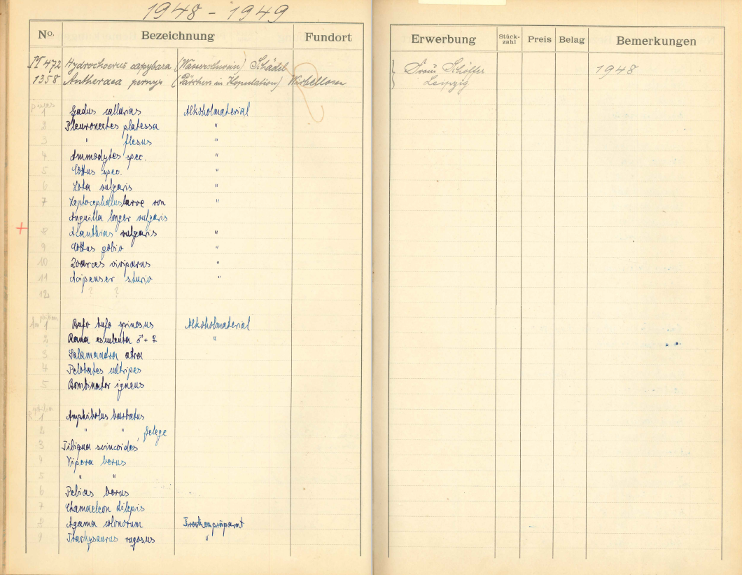 Double page from inventory book with preprinted columns. Apart from the first two rows, which contain different handwriting, only the left-hand page has been filled out. 1948-1949 is written at the very top.