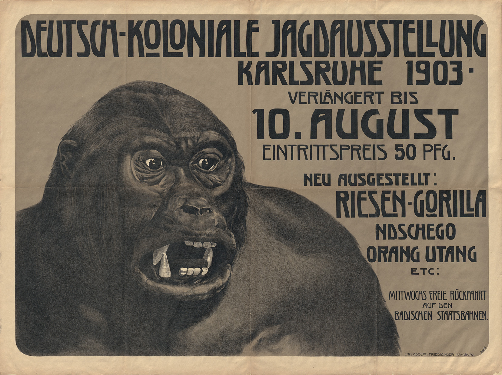 Schwarz-weißes Bild mit aufgedrucktem Text: “Deutsch-Koloniale Jagdausstellung Karlsruhe 1903. Verlängert bis 10. August Eintrittspreis 50 Pfg. Neu ausgestellt: Riesen-Gorilla, Ndschego, Orang Utang, etc: Mittwochs freie Rückfahrt mit den badischen Staatsbahnen”. Vom Text umrahmt ist links im Bild ein Gorilla bis zur Schulter abgebildet, mit aufgerissenem Maul, das große weiße Zähne freilegt, und aufgerissenen Augen.