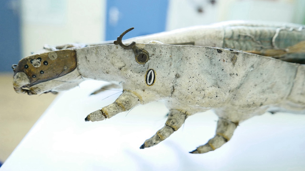 Head of the caterpillar model without its lid. There are three pairs of legs near its head. Two long bristles stick out on each leg. A folded-out metal hook is attached to the side of the model. It has a brown head with small mouth tools.