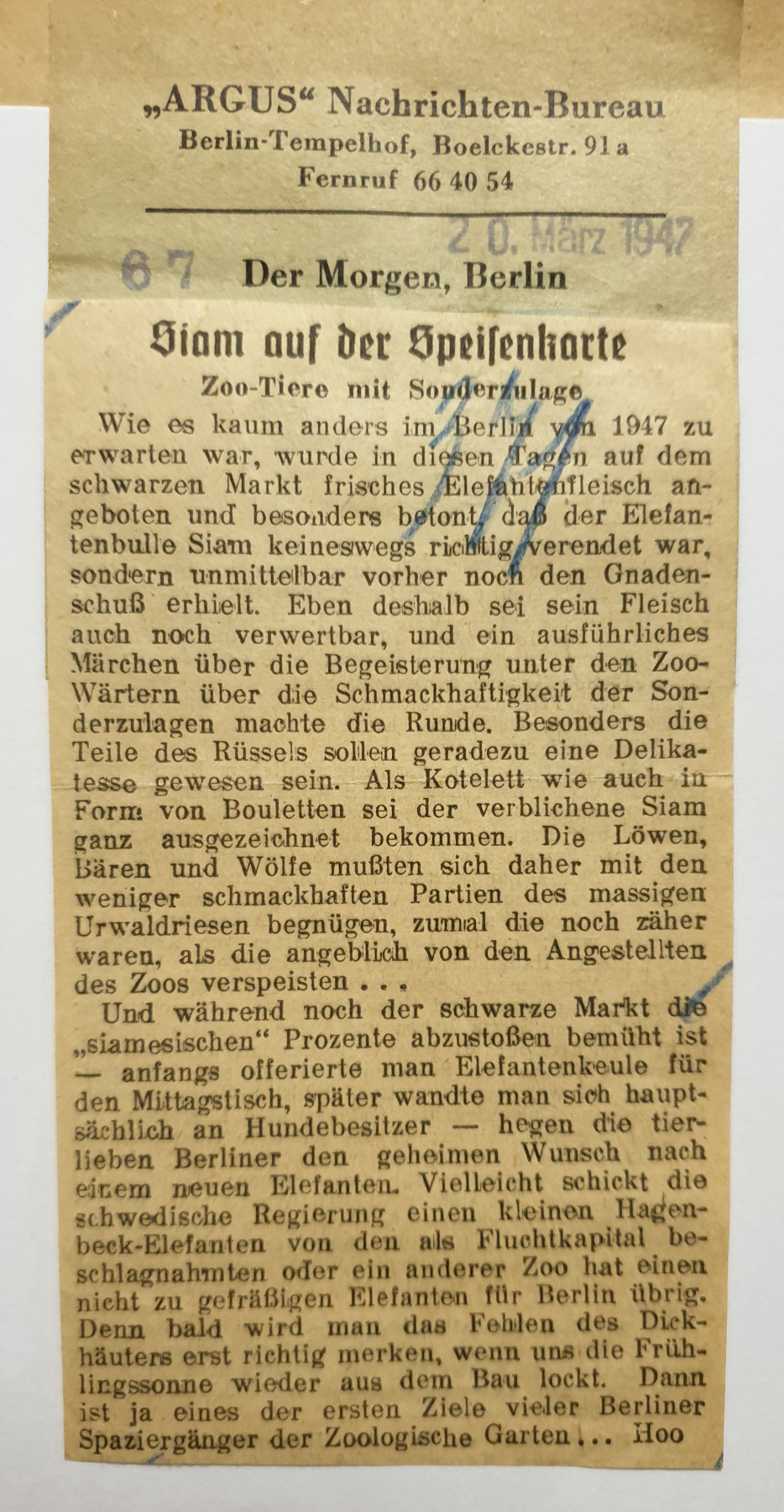 Zeitungsauschnitt. Titel: Siam auf der Speisenkarte. Zoo-Tiere mit Sonderzulage.