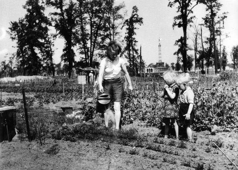 Black and white photograph: Two small children watch a woman with a watering can watering a plot of land.