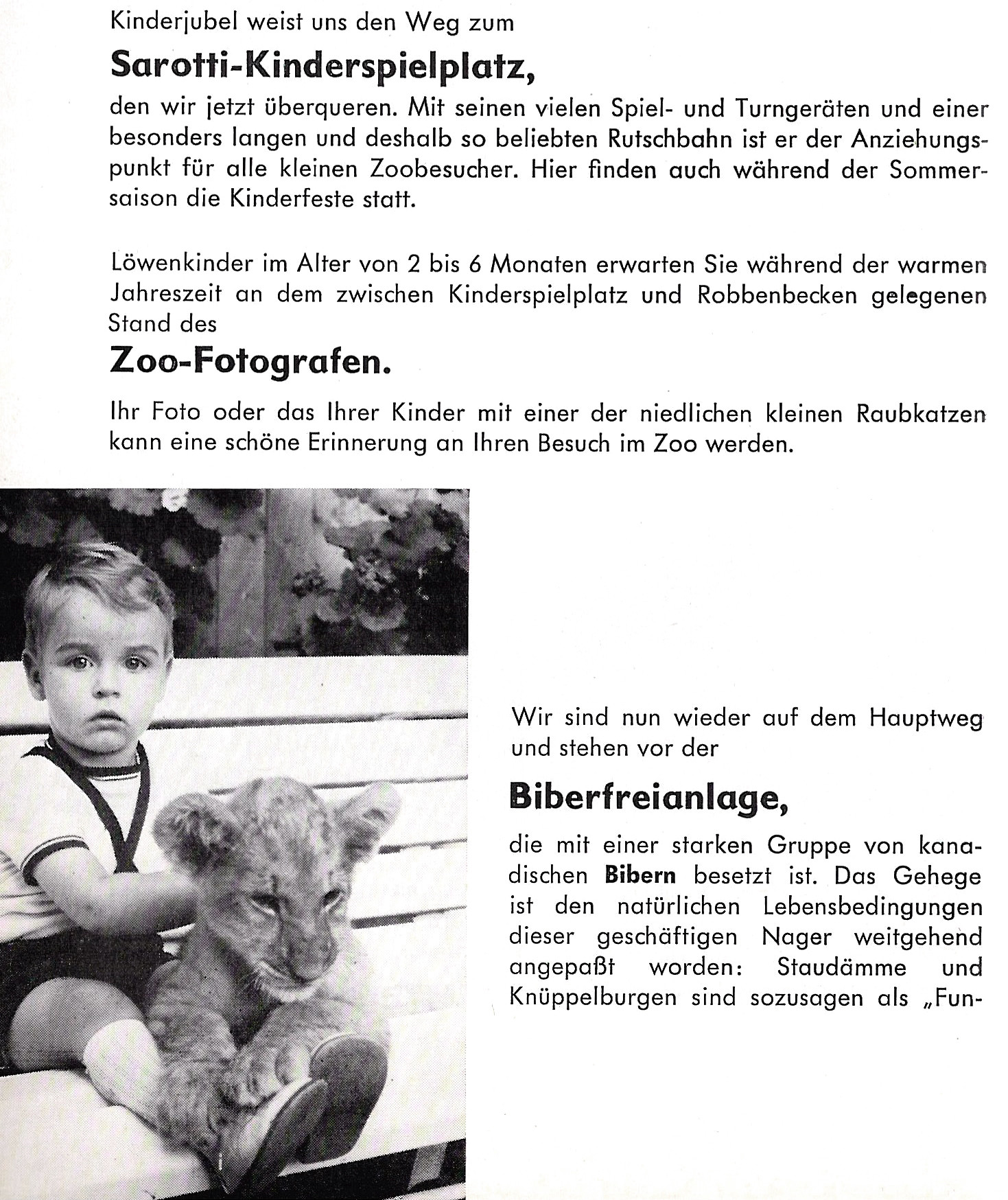 Eine Seite des Zooführers von 1971, auf der auf den Stand des Zoofotografen hingewiesen wird und ein Foto von einem Kleinkind mit Löwenbaby auf dem Schoß abgebildet.