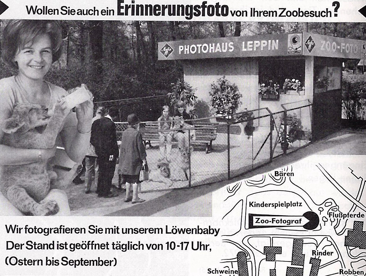 Werbeanzeige des Zoofotografen im Berliner "Zooführer" von 1973. Auf der Schwarz-Weiß-Fotografie ist der Stand mit Bank abgebildet und links das Foto einer sitzenden Frau in das Bild montiert, die einem Löwenbaby die Flasche gibt.