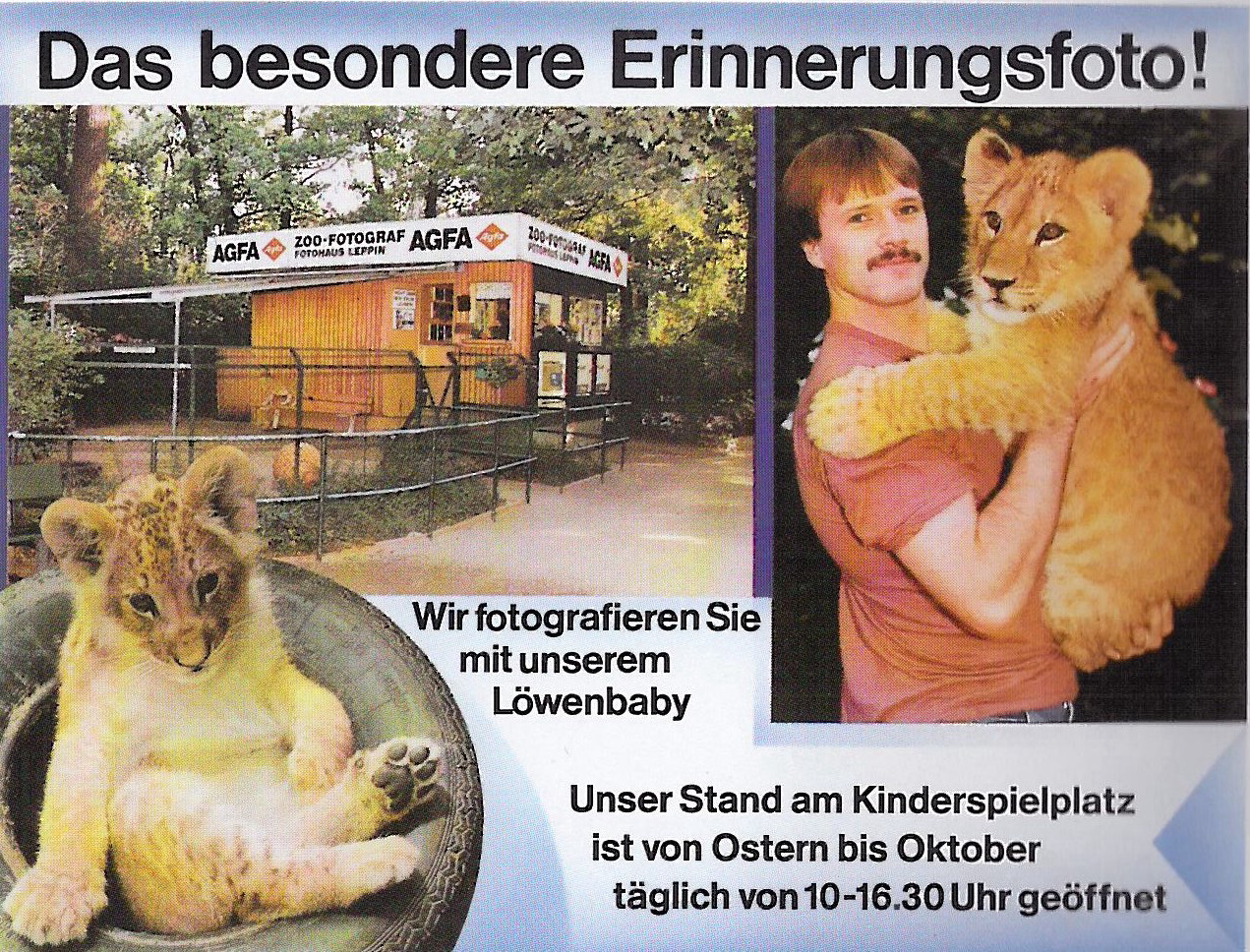 Advertisement for the zoo photographer in the 1992 guide to Berlin Zoo. There are three colour photographs: in the top left a picture of the booth with the bench, in the bottom left a lion cub in a tyre, and on the right a man standing with a young lion in his arms.