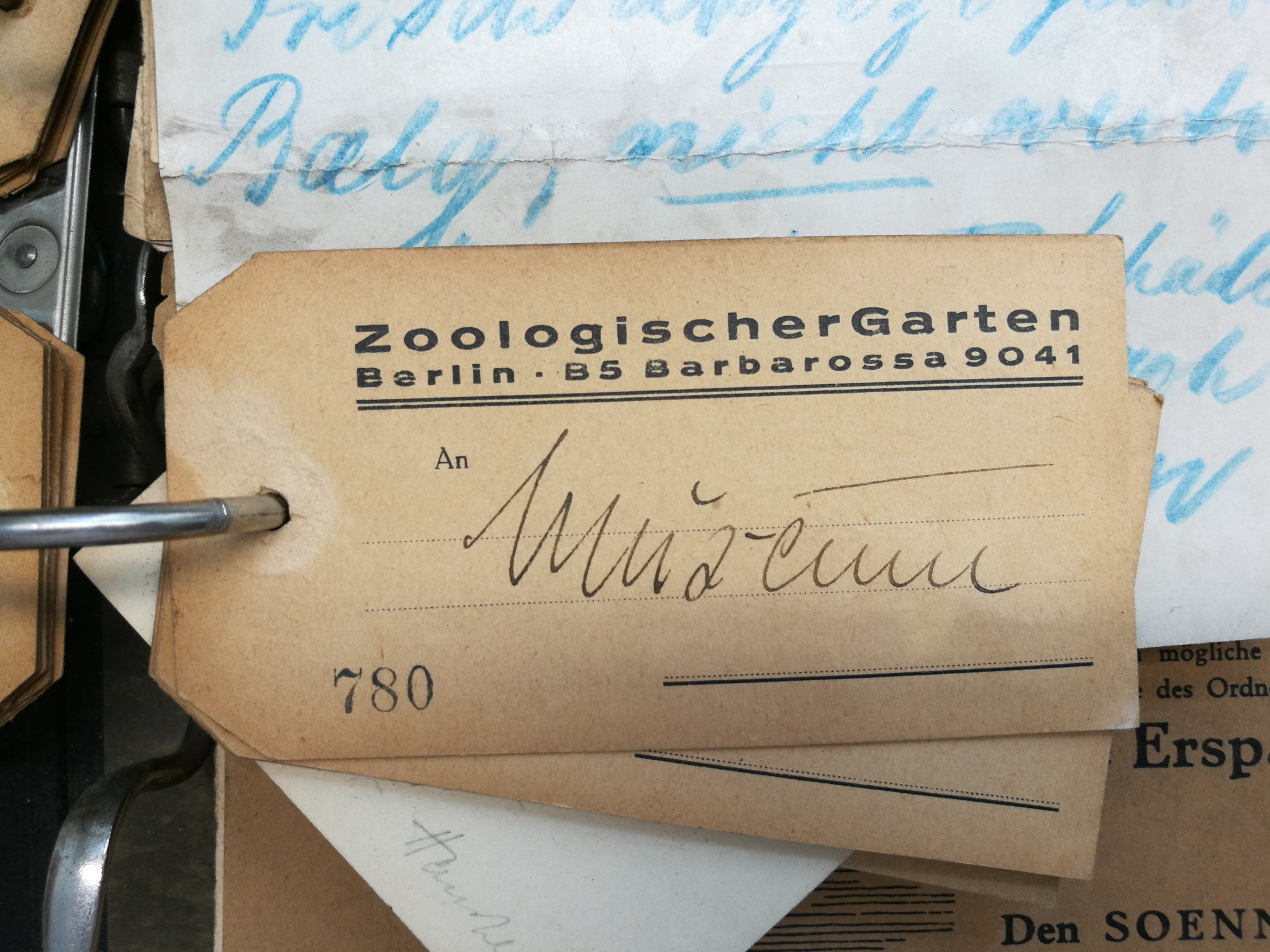 A yellowed, punched paper card with stains and preprinted text at the top: Berlin Zoological Garden. Bottom left: 780. Beneath, handwritten: Museum.