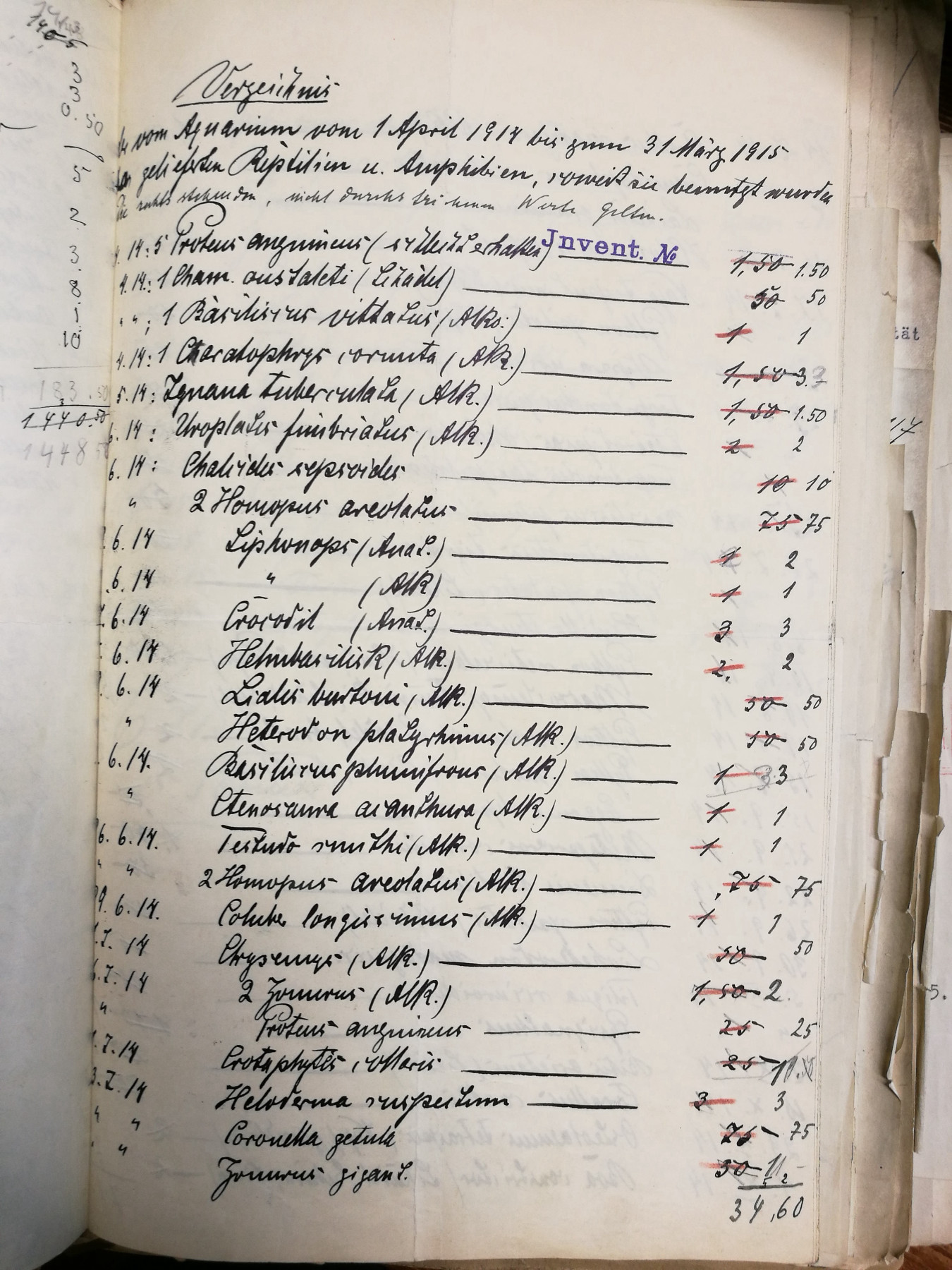 Hand-written page in a notebook with tattered edges containing a long list in old cursive handwriting with dates, species names, and sums of money on each row.