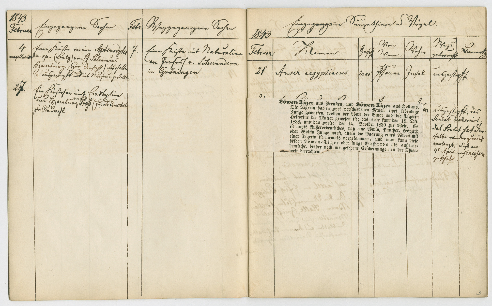 An open book reveals a yellowed double page that has been divided into several columns of varying widths by hand. Only the upper quarter of the page contains some ornate handwriting.