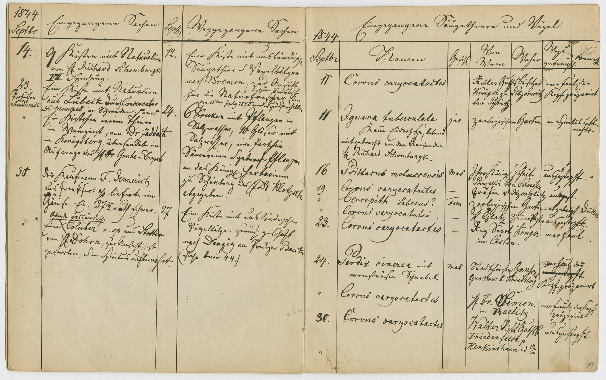 Double page of an open notebook, whose hand-written entries for the month of September 1844 have been divided by hand into a hand-drawn table.